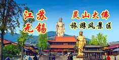 小嫩屄肏翻天免费视频播放江苏无锡灵山大佛旅游风景区